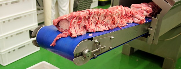 meat processing cip process conveyor belt